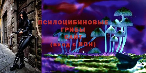 трава Бежецк