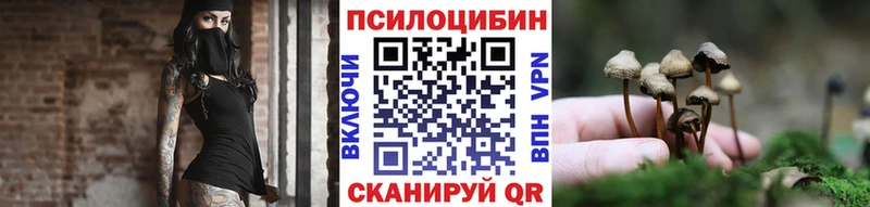 МЕГА tor  Новая Ладога  Псилоцибиновые грибы прущие грибы 
